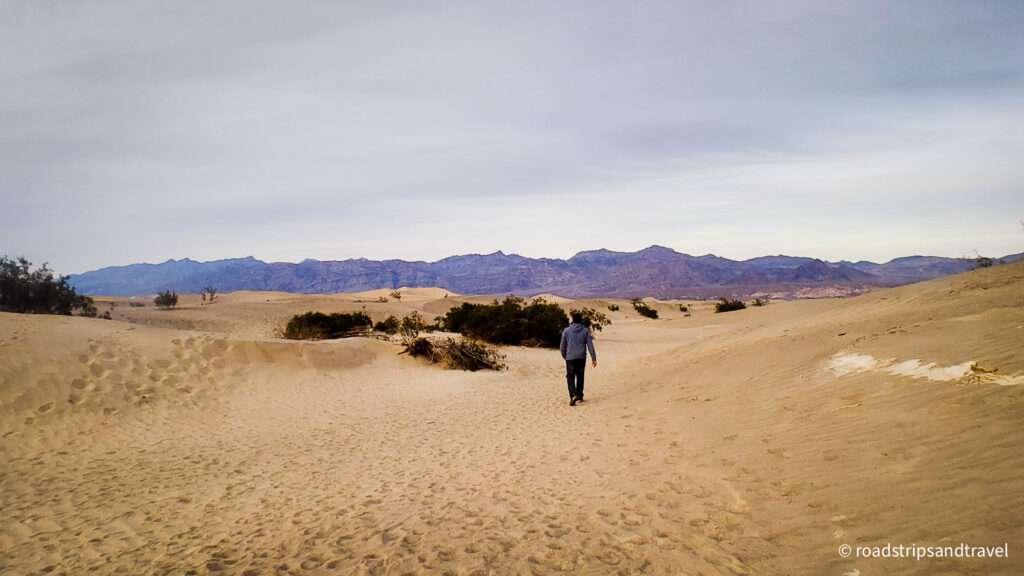 Hiking in Mesquite Sand Dunes
